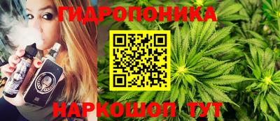 МДПВ Будённовск