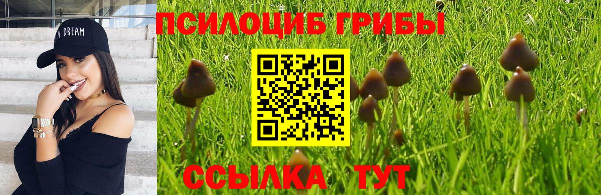 Галлюциногенные грибы мухоморы  Псилоцибиновые грибы Psilocybine cubensis  закладки  Вход с VPN  Новокузнецк 